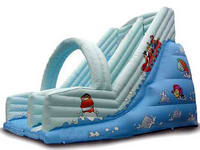 Giant Inflatable Water Slide With Arch For Sale