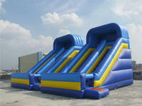 Inflatable Slide  CLI-2139