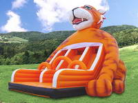 Inflatable Tiger Slide