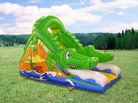 Inflatable Slide  CLI-84