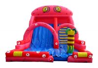 Inflatable Slide  CLI-58