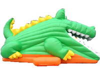 Inflatable Slide  CLI-51