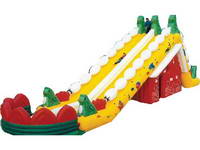 Inflatable Slide  CLI-48