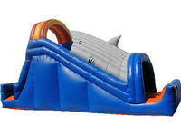 Inflatable Slide  CLI-43