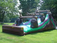 Wild Rapids Inflatable Slide