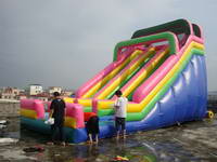 High Quality 20Ft Colorful Amazon Inflatable Slide for Sale