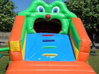 Caterpillar Craze Inflatable Tunnel TUN-34