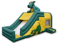 Inflatable Slide  CLI-236-1