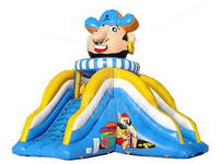 Inflatable Slide  CLI-235