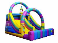 Inflatable slide   CLI-30-1