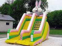 Inflatable Slide  CLI-82