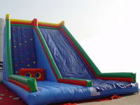 Giant Inflatable slide  CLI-274-1
