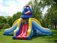 Inflatable slide CLI-7