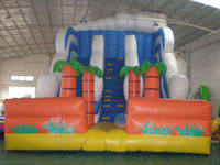 Commercial Use Inflatable White Wave Slide