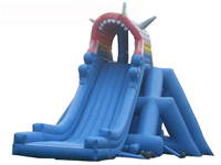 Giant Inflatable slide  CLI-622-5