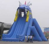 Giant Inflatable Crocodile Head Water Slide