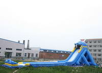 Giant Walf Head Water Slide For Outdoor Water Games