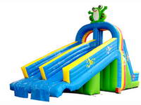 Giant Inflatable Frog Wet Slide