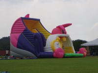 Outdoor Inflatable Lovely Pink Rabit Shape Slide