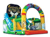 Inflatable Slide  CLI-505