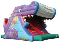 New Arrival Durable Inflatable Shark Silde for Sale