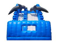 Inflatable Slide  CLI-9-2
