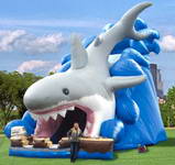 Inflatable Shark Slide CLI-308-1