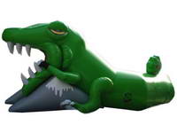 Lively Crocodile Inflatable Tunnel