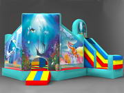 5 In 1 Under The Sea Inflatable Jumping Castle Combo