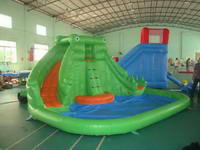 Commercial Grade Inflatable Crocodile Water Slide for Backyard