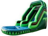 Inflatable Water Slide WS-56