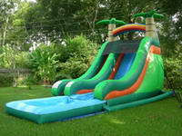 Inflatable Water Slide WS-130