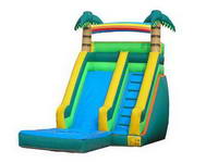 Tropical Water Slide WS-134