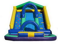 Giant Inflatable Water Slide WS-441