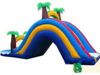 Inflatable Water Slide WS-367