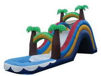 Unique Tropical Water Slide WS-367