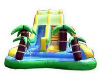 Custom Made Palm Trees Inflatable Water Combos for Rental