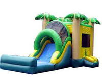 Inflatable Water Slide WS-405