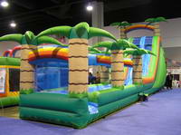 Inflatable Water Slide WS-182-2