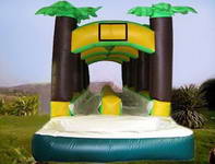 Double Lane Slip Slide WS-185