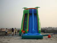Inflatable Tropical Dual Water Slide