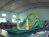 Inflatable Tropical Water Slide WS-25-2
