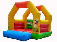Party Inflatable Jumper