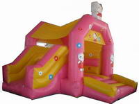 Inflatable Party Bouncer