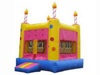 Inflatable Birthday Party Jumping Castle