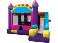 Inflatable Dream Jumping Castle Combo