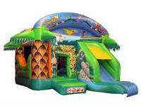 CAS-142-5 Jungle Bounce and Slide