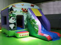 CAS-142-1 Jungle Bounce Slide