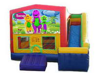 CAS-432 barney Castle