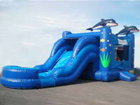 Dolphin Inflatable Bounce House Water Slide Combo